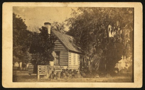 Nursery at Elliott's, Hilton Head, S.C. - photographed and for sale by H.P. Moore, Concord, N.H. LCCN2010647789