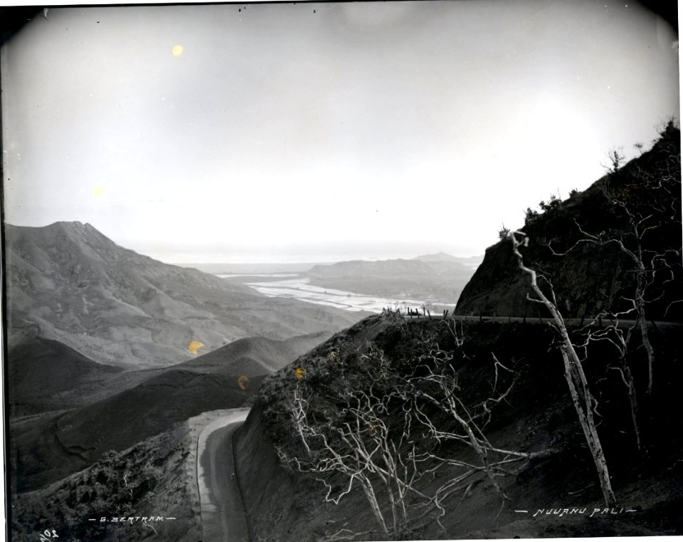 Nuuanu Pali (09), photograph by Brother Bertram