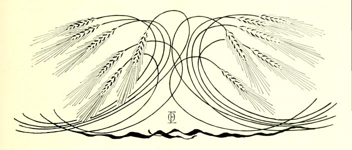 Ornament of ear