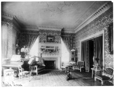 Ornate interiors of Chandler Hale house, 1001 16th St., N.W., Washington, D.C., showing piano, fireplaces, and china closet LCCN2001704521