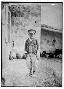 Orphan survivor of family of 15, Armenian orphan LCCN2014706346