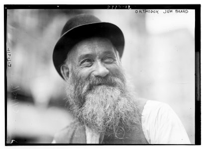 Orthodox Jew - beard LCCN2014693743