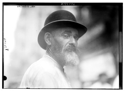 Orthodox Jew LCCN2014693744