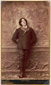 Oscar Wilde - Sarony. LCCN98519697 photo