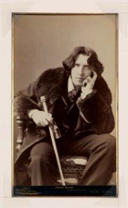 Oscar Wilde - Sarony. LCCN98519699