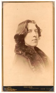 Oscar Wilde - Sarony. LCCN98519711 photo