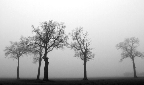 Monochrome karg crown