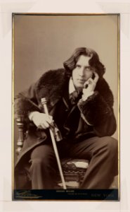 Oscar Wilde - Sarony. LCCN98519699 photo