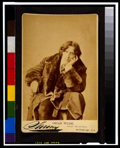 Oscar Wilde - Sarony. LCCN98519726 photo
