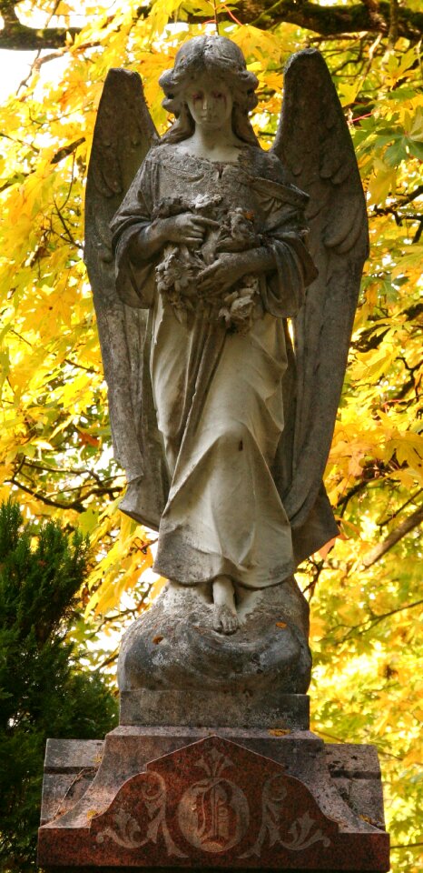 Angel yellow brown angel