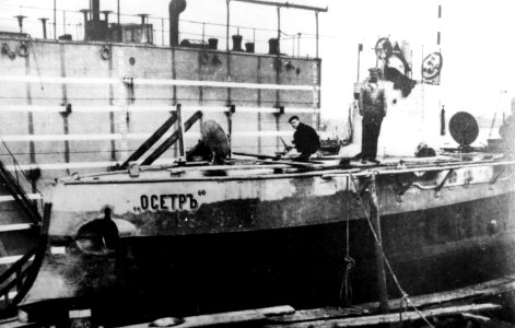 Osetr1904-1905