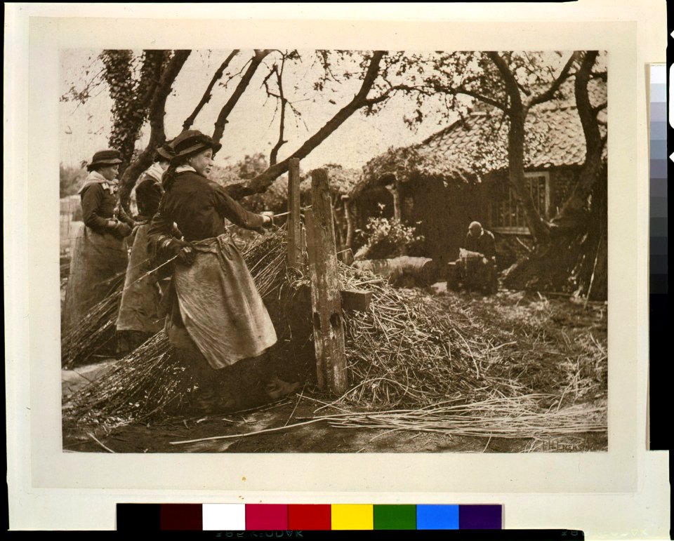 Osier peeling, Norfolk - P.H. Emerson. LCCN93500134