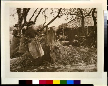 Osier peeling, Norfolk - P.H. Emerson. LCCN93500134