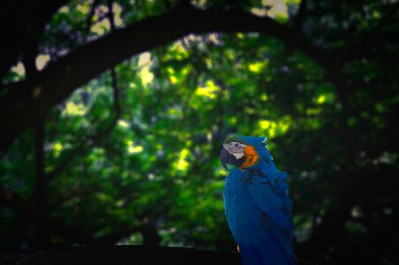 Blue green dark