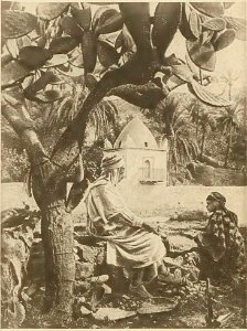 Ossendowski - Pod smaganiem samumu p049