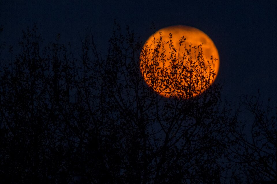 Dark night sky