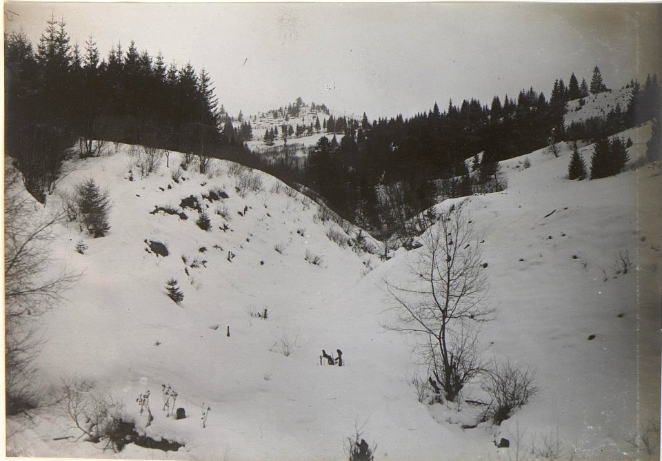 Ostry, Nordhang Blick aus dem Smorczankatal (BildID 15439805)