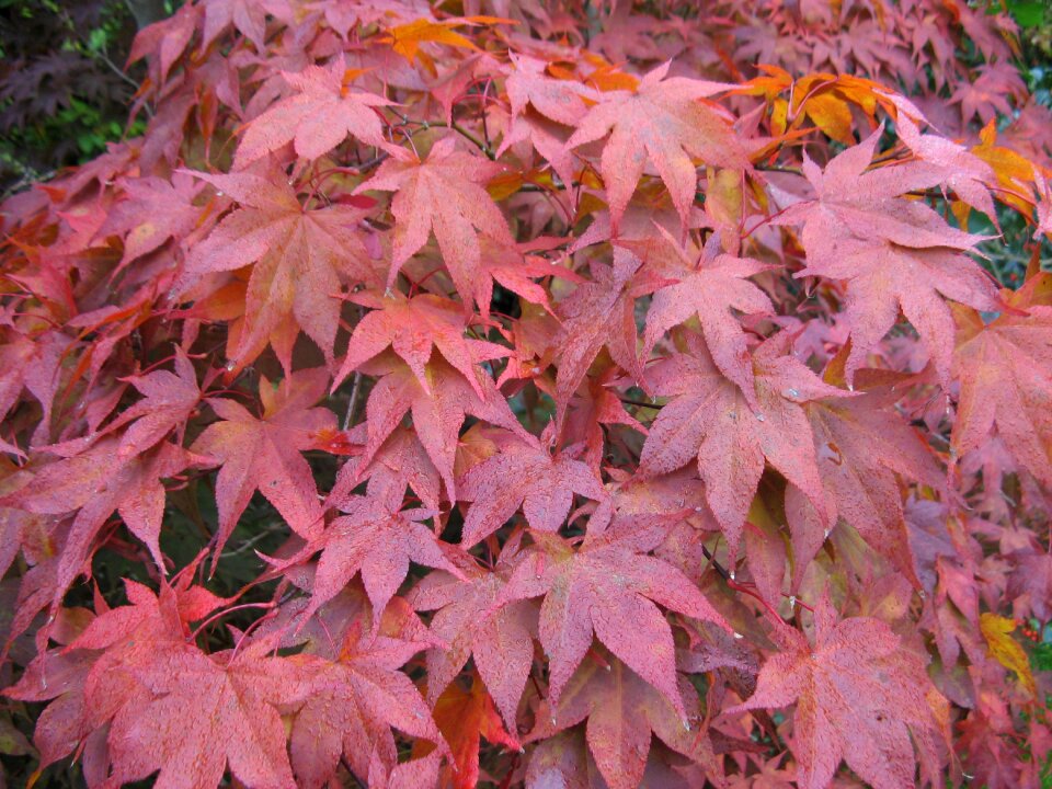 Nature season colorful