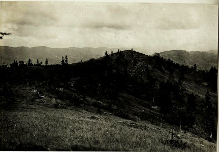 Ostry.Rücken-Teil gegen Zwinin. (Russ.Deckungen am Nordhang.)