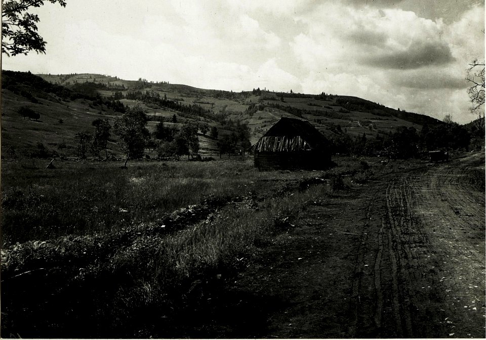 Ostry.Nordhang, Blick von Koziowa. (BildID 15431219)