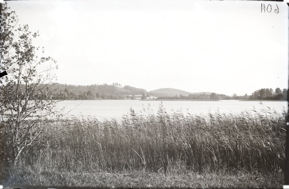 Otepää, Pühajärv, AM N06011