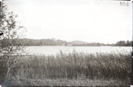 Otepää, Pühajärv, AM N06011