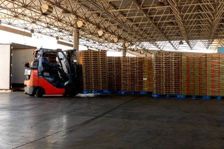 Otay Mesa Cargo Operations following the implementation of Title 42 USC 265. - 49716835622