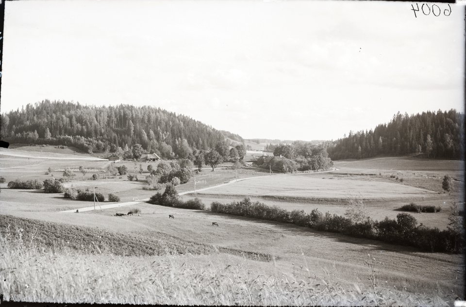 Otepää maastik, vasakul Otepää Munamägi, AM N06004