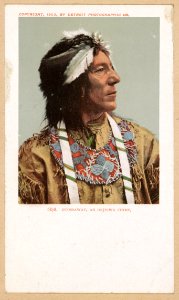Otossaway, an Ojibwa chief LCCN2016653220