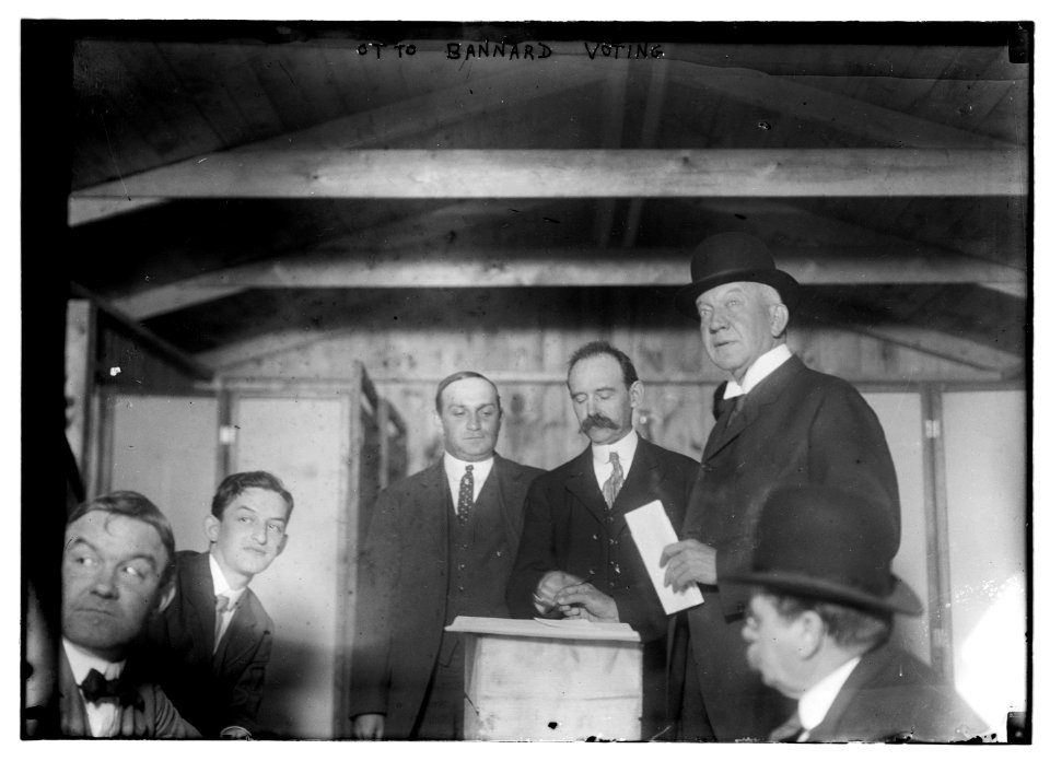 Otto Bannard Voting LCCN2014690890