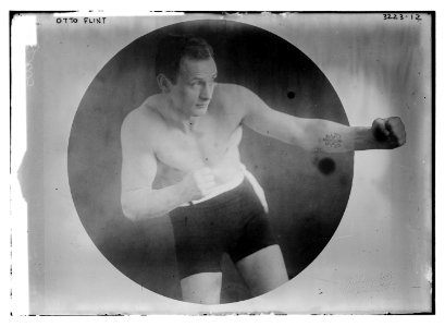 Otto Flint LCCN2014697447