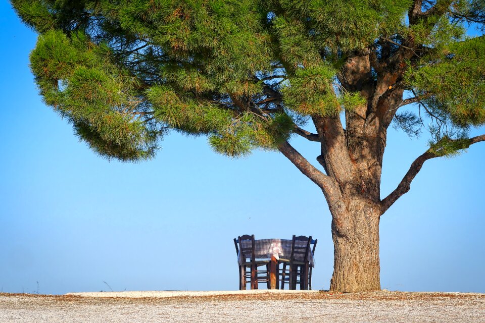 Landscape crete table