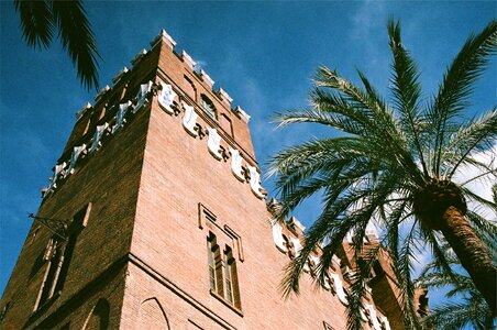 Palm tree building architecture