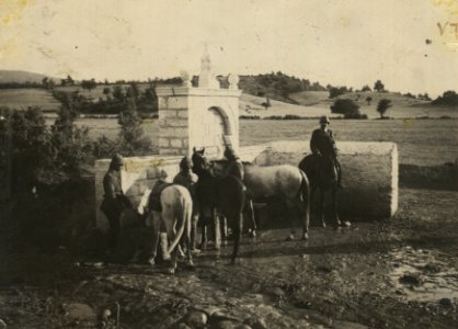 Ottoman cavalryman leading hourses to the water fountain
