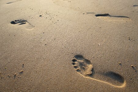 Footprint sea nature photo