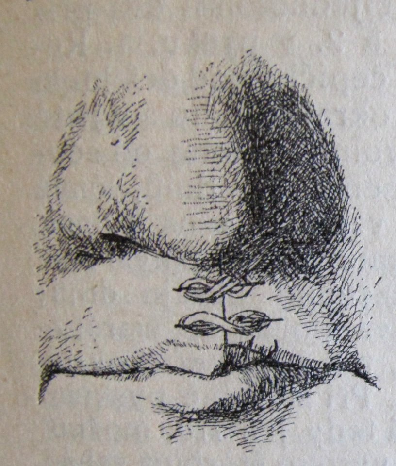 Ottův slovník naučný - obrázek č. 3157