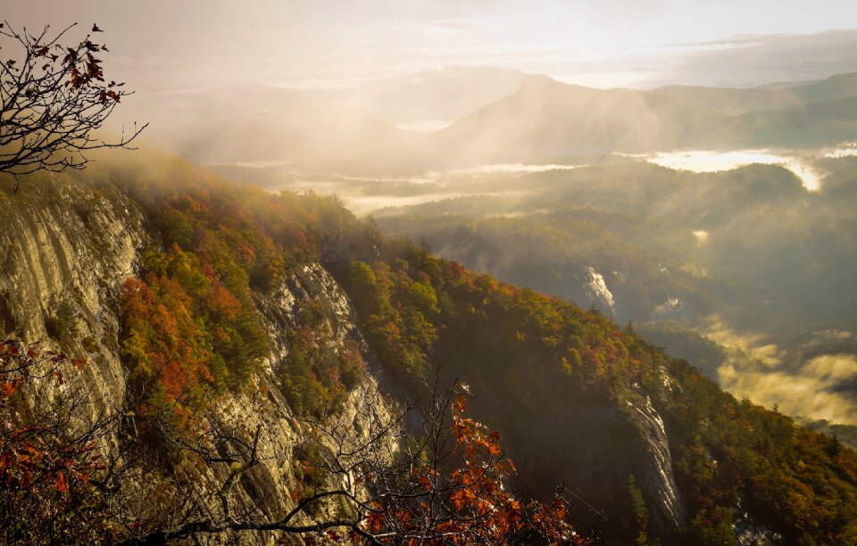 Mountains fog trees