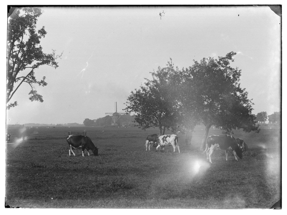 Ouderkerk aan de Amstel (gemeente Ouder-Amstel) Jacob Olie (max res)