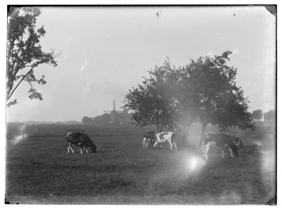 Ouderkerk aan de Amstel (gemeente Ouder-Amstel) Jacob Olie (max res)