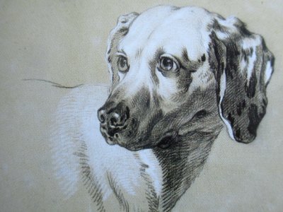 Oudry Setter