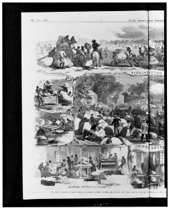 Our cotton campaign in South Carolina - gathering, ginning, packing and shipping the cotton crops of the Sea Islands, Port Royal, by the Federal Army, under General Sherman - from sketches LCCN96513235