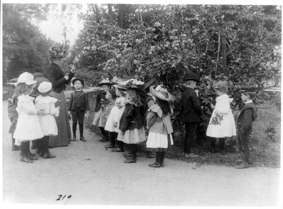 Outdoor class in botany, Washington, D.C. LCCN2001703640