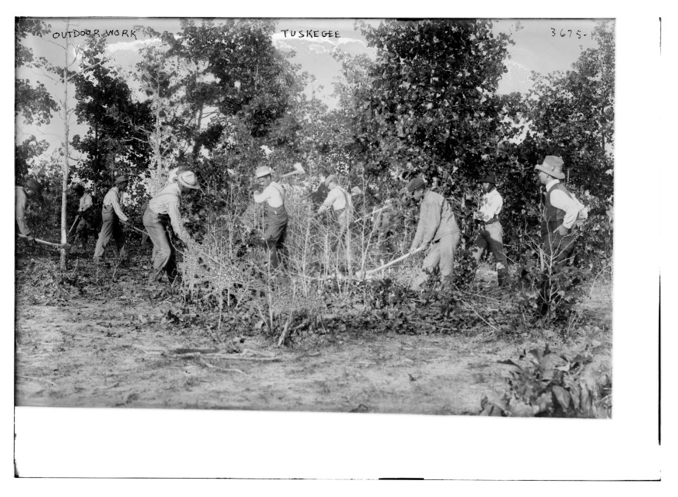 Outdoor work Tuskegee LCCN2014700323