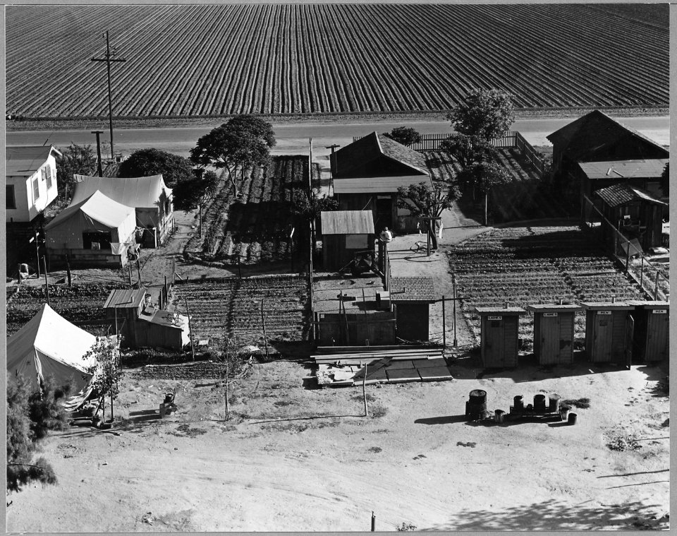Outskirts of Shafter, Kern County, California. Permanent housing for agricultural workers on and off . . . - NARA - 521681