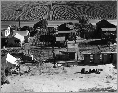 Outskirts of Shafter, Kern County, California. Permanent housing for agricultural workers on and off . . . - NARA - 521681