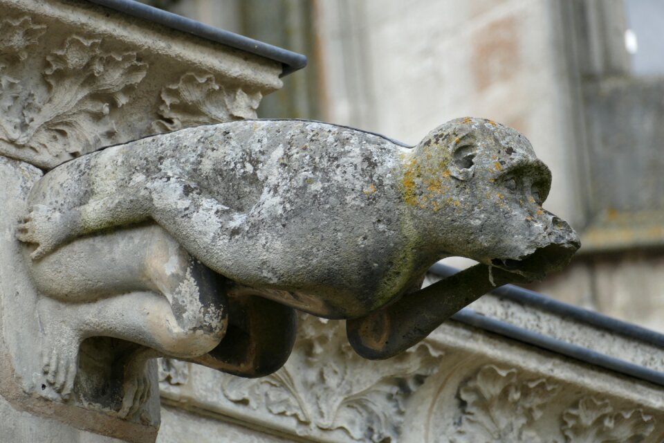 Drain monkey cathedral