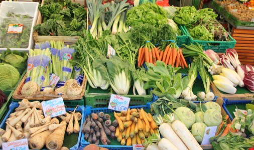 Vegetables variation sell