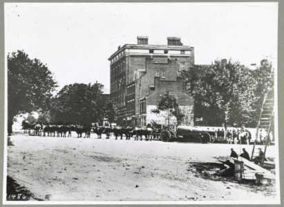Ox team with cannon, 15th & Penn. Avenue, N.W., Washington, D.C LCCN2013651869