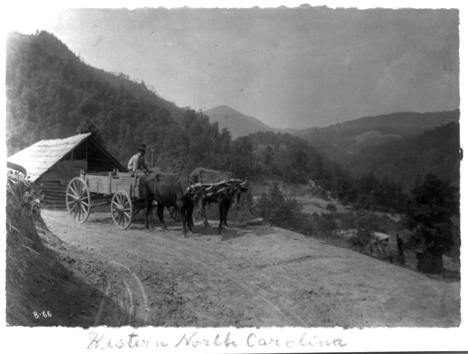 Ox-drawn wagon on mountain road LCCN2004680341