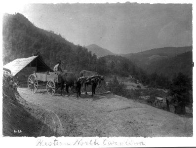 Ox-drawn wagon on mountain road LCCN2004680341 photo